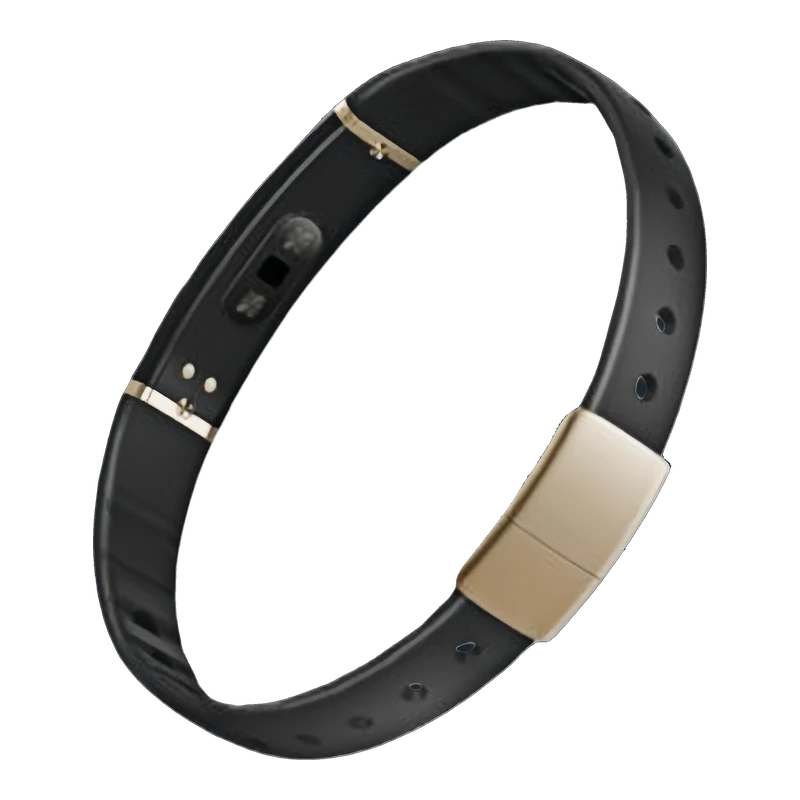 C16 Screenless Health Band